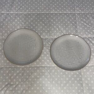 Simon Pierce Burlington plates 9 inches in diameter set of 2 excellent condition